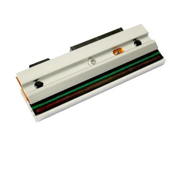 رأس الطباعة الحرارية للحمار الوحشي