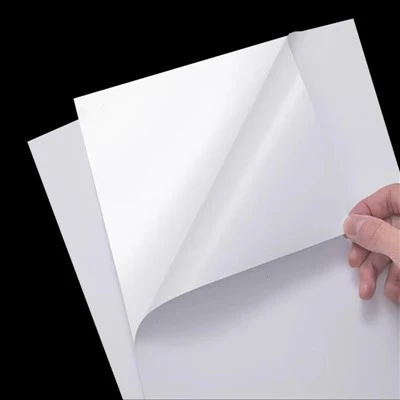 Matt White Paper Matt PP Paper Glue Hot Glue Economic Label لاصق Jumbo Roll عالي الجودة السعر